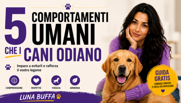 Comportamenti odiati dai cani