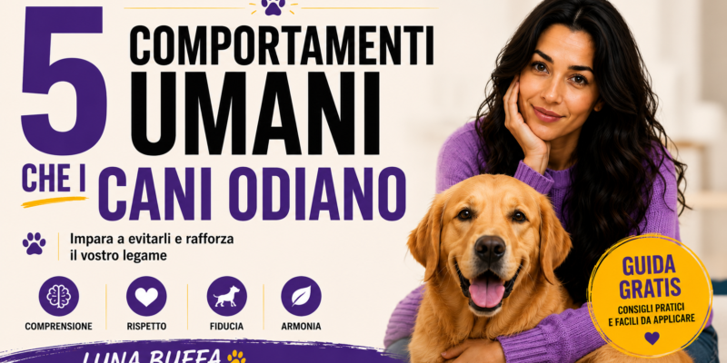 Comportamenti odiati dai cani